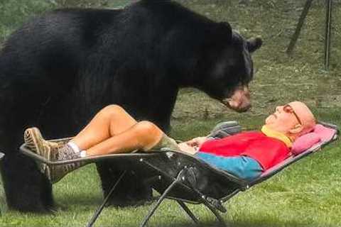 When Backyard Animal Secrets Go Viral 😁 Funniest Animal Videos 2025