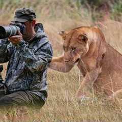Wild Animals SHOCK Photographers in the Cutest Ways 🤪 Funny Animal Videos 2025