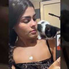 She wanted to help apply the mascara 💥🫶 #Cat #Funny #Kitten #Makeup
