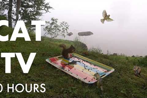 A Misty Morning on the Lake with Chipmunks and Squirrels - 10 Hour Cat TV for Pets - Aug 03, 2025
