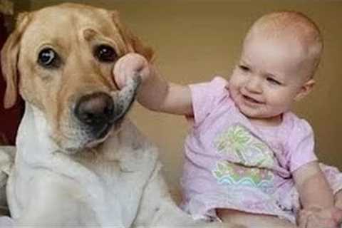 When Your Dogs Are Being Silly with Their Little Humans 🤪
