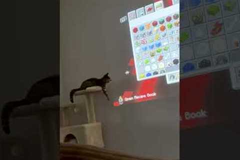 Do a flip! 💥🐈🤣🖱️ #Cat #Funny #Computer