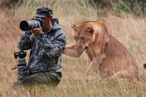 Wild Animals SHOCK Photographers in the Cutest Ways 🤪 Funny Animal Videos 2025