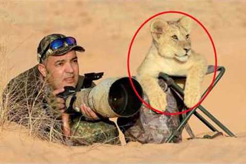 Wild Animals Surprised Photographers in an Unexpected Way 🤪