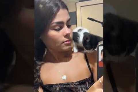 She wanted to help apply the mascara 💥🫶 #Cat #Funny #Kitten #Makeup