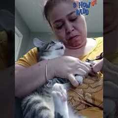 The Best Of The Worst Animal Fails! | Show Us Your Baddies