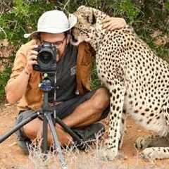 Photographers Who Are Hilariously Interrupted By Wildlife 🤪