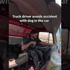 Truck Driver Swerves To Avoid Accident With Beloved Dog In Cabin