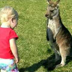 Babies and Animals Become the Cutest Best Friends Ever 😍