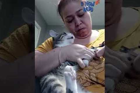 The Best Of The Worst Animal Fails! | Show Us Your Baddies