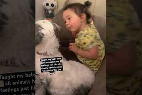 Girl Does Cute Wellness Check On Dog #Dogs #CutenessOverload #DogShorts