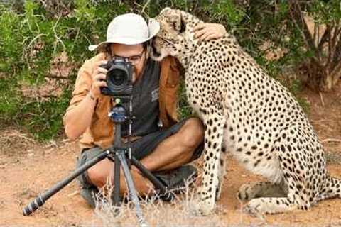 Photographers Who Are Hilariously Interrupted By Wildlife 🤪