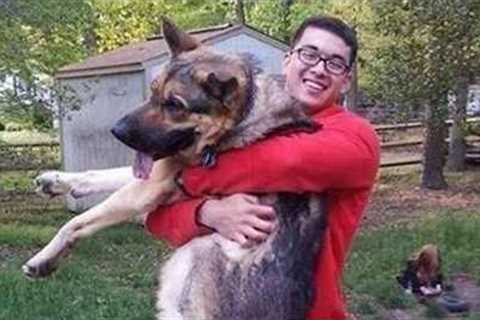 Dog Pretends to Be a Comedian With His Owner 😂 Must Watch!