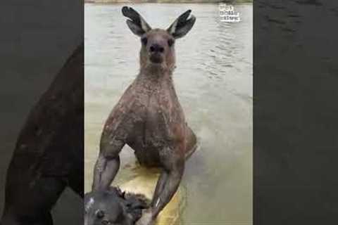 Baddies Around The World 🌎💥 | Show Us Your Baddies