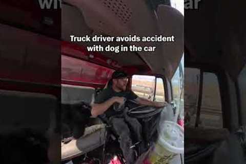 Truck Driver Swerves To Avoid Accident With Beloved Dog In Cabin