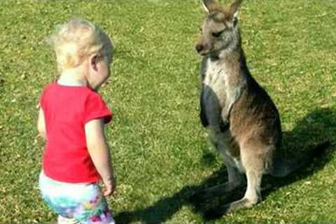 Babies and Animals Become the Cutest Best Friends Ever 😍