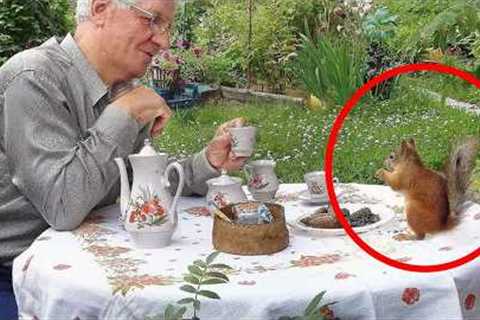 When The Animal Distribution System Picks You 😁 Funniest Animal Videos 2025