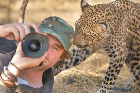 When Animals Interrupted Photographers in an Unexpected Way 🤪