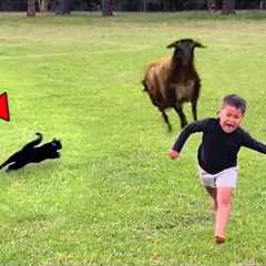 BEST of Hero Animals That Saved Human Lives 2025, You Must See!