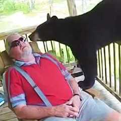 When Animal Gets Up Close Humans in The Funniest Ways 🤩 Funny Animal Videos 2025