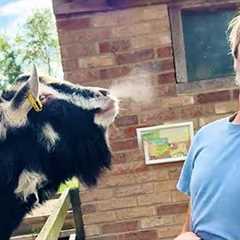 Funniest Animal Videos Ever That Will Definitely Brighten Your Day 😅