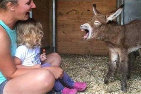 Adorable Baby Reacts To Meeting Animal For The First Time! 🤣