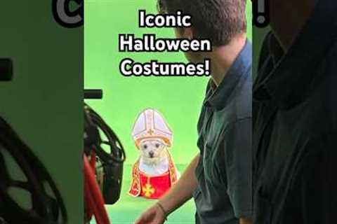 We turned some of the most viral 2025 moments into pet Halloween costumes! 🤣👻✨