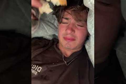 WHERE ARE THEY!!??? 🤬 #funnyanimals #dogs #pets #silly