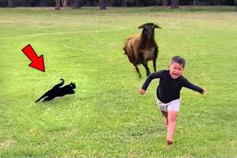 BEST of Hero Animals That Saved Human Lives 2025, You Must See!