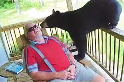 When Animal Gets Up Close Humans in The Funniest Ways 🤩 Funny Animal Videos 2025