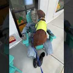 Rescue Dog Loves Frankenstein!