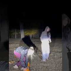 Cow Appears During Pumpkin Smash