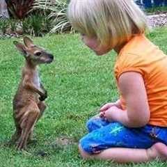 You Won’t Stop Saying ‘Aww’ After This! 🥰 Cutest Baby and Animal Moments Ever!