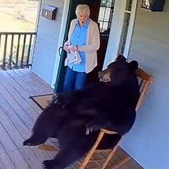 Bears Being Silly And It’s Hilarious Make You Won’t Stop Laughing 😁