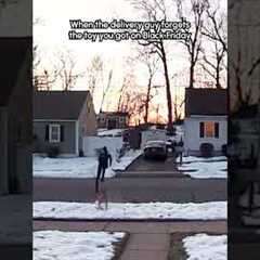 Delivery Man Gets Chased By Dog