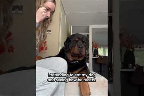 Dog Reacts To Mom Pretending To Eat Him