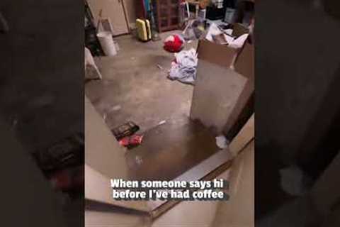 Hilarious Sheep Freaks Out at Greeting