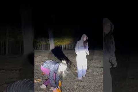 Cow Appears During Pumpkin Smash