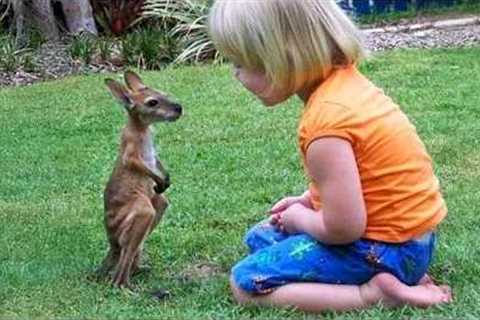You Won’t Stop Saying ‘Aww’ After This! 🥰 Cutest Baby and Animal Moments Ever!