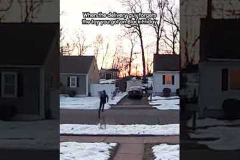 Delivery Man Gets Chased By Dog