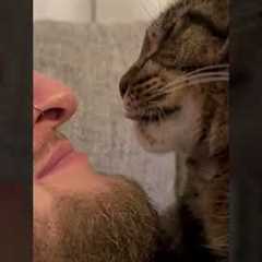 Cat is SICK Of Dad Kissing Him