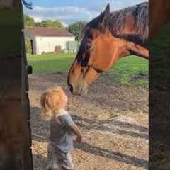 Funniest Farm Animals Of 2025 🐐🤣