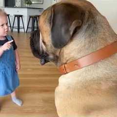 When Your Dog and Baby Are Being the BIGGEST BESTIES 🐶