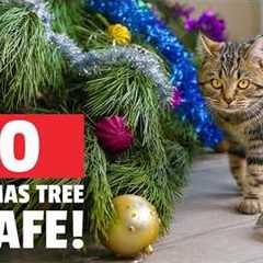 Pet Holiday Madness | FUNNY & CUTE Holiday Pet Videos