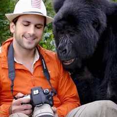 Silly Animals Approaching Photographers in the Most Ridiculous Ways 🤪 Funny Animal and Human