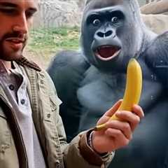 Animals Lose Their Minds Reacting to Magic for the First Time!