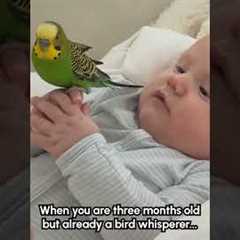 Adorable Parrot Rests on Toddler's Hand
