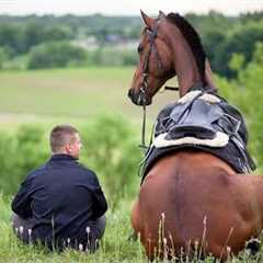 Funniest Horses 🤣   BEST Compilation of 2025