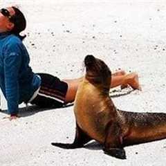 When Animals Are Being Total Little Humans 🤪 Funny Animal and Human