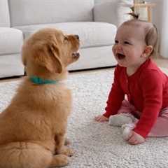 When Your Baby and Little Dog Have a Private Talk You’re Not Invited To 🐶😂